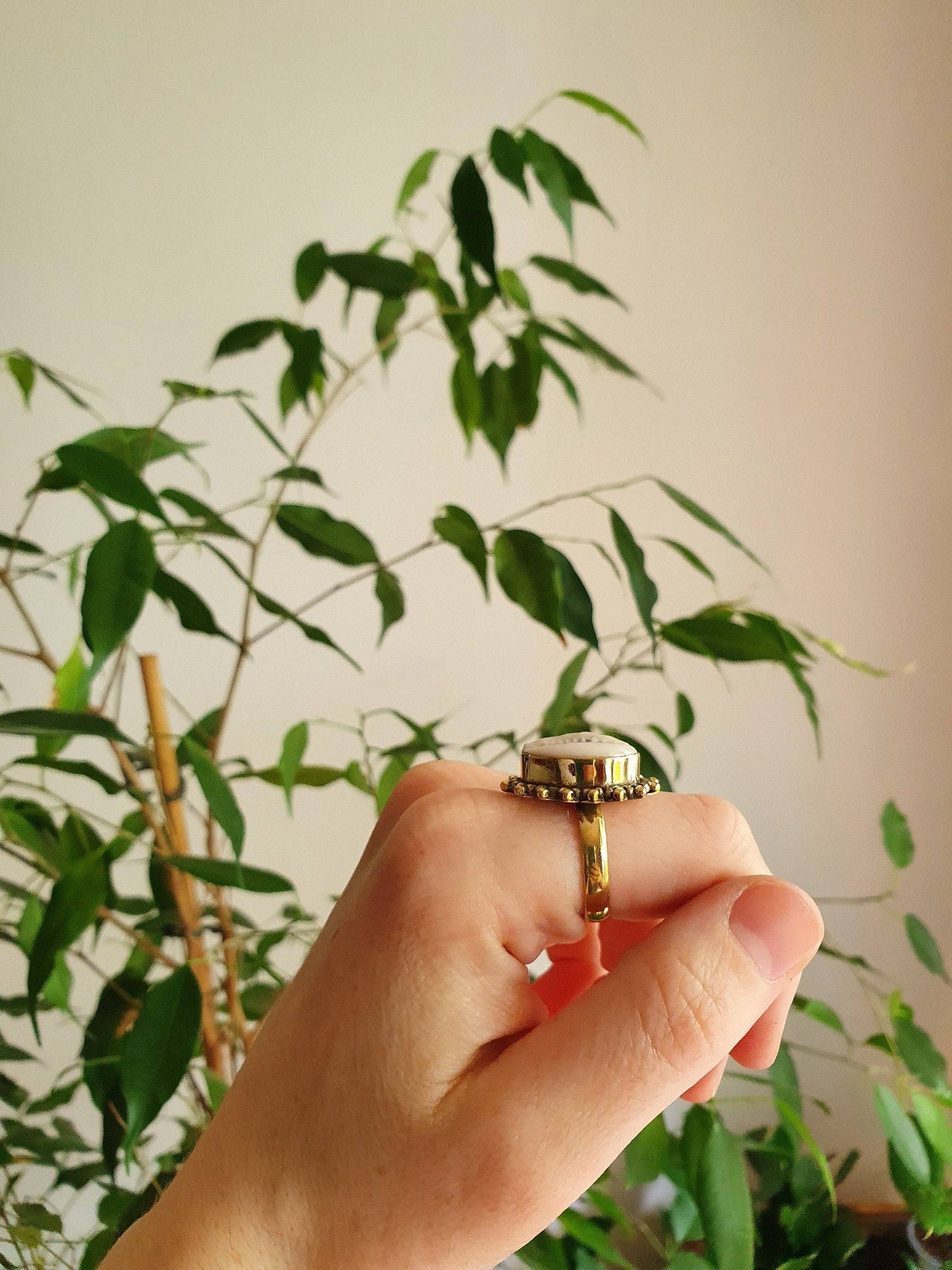 Cowrie Shell Brass Ring