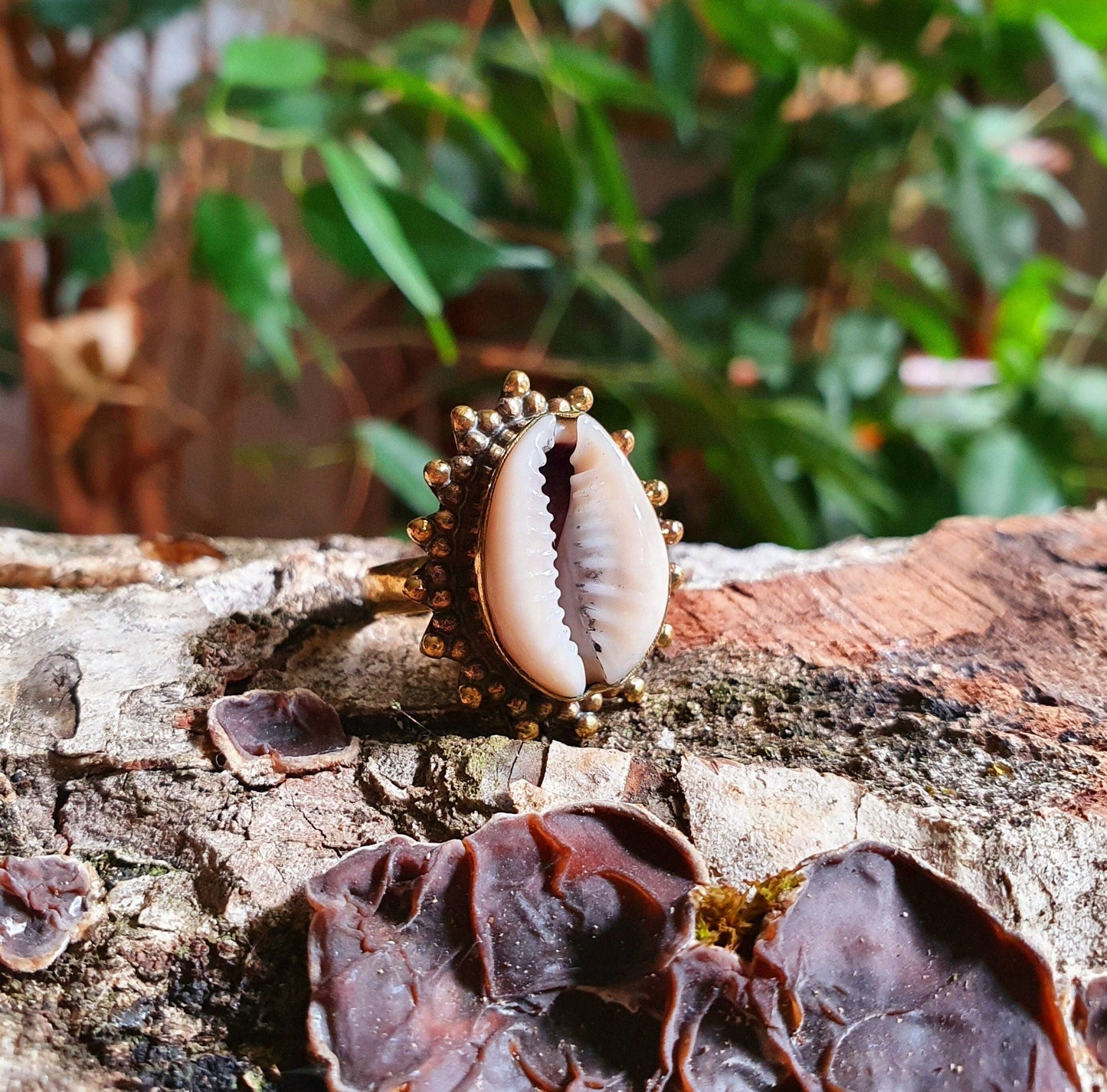 Cowrie Shell Brass Ring