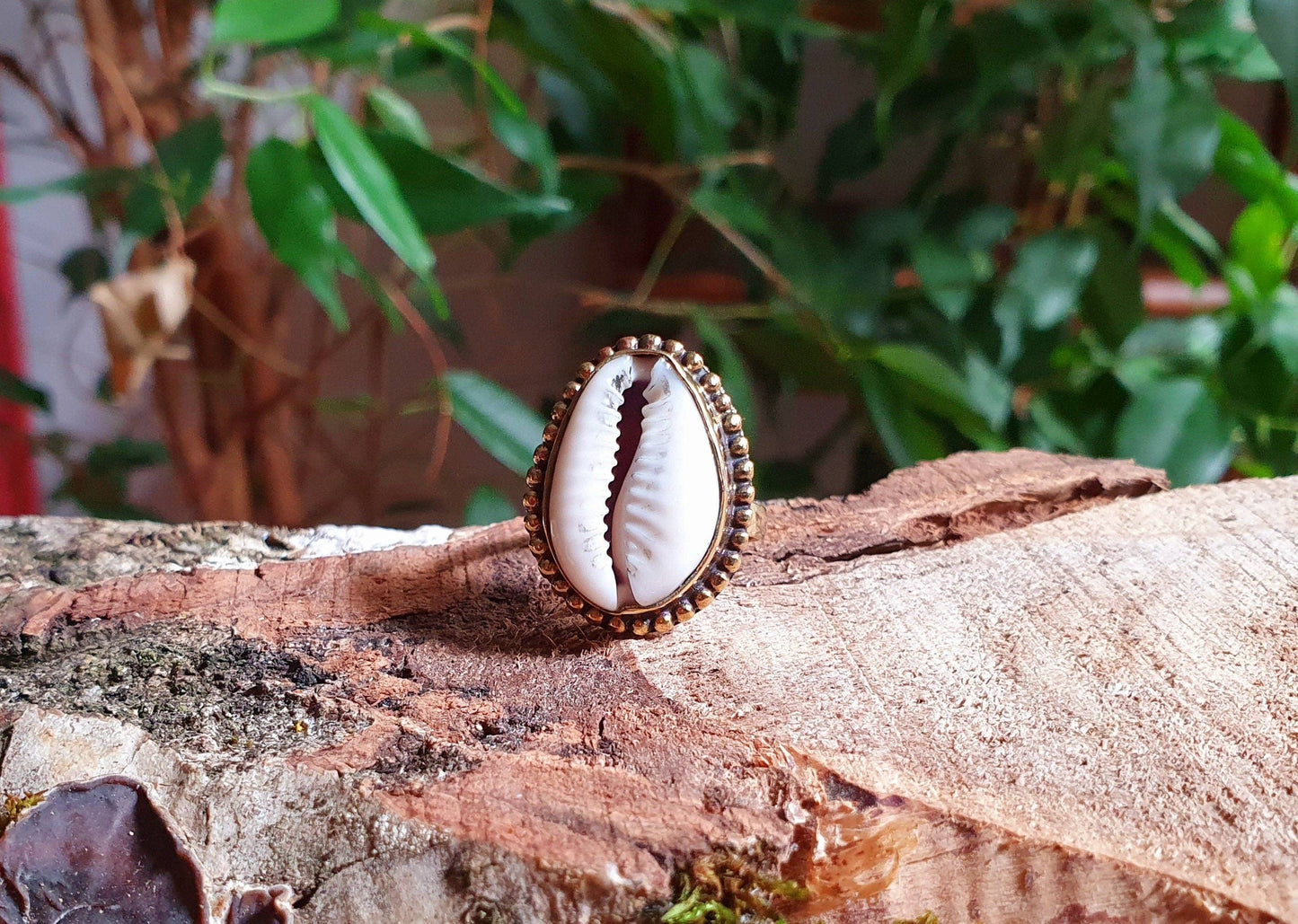 Cowrie Shell Brass Ring