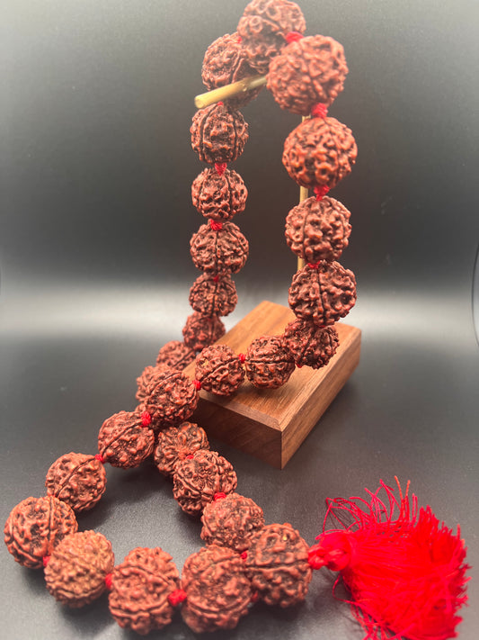 Rudraksha Beaded Mala